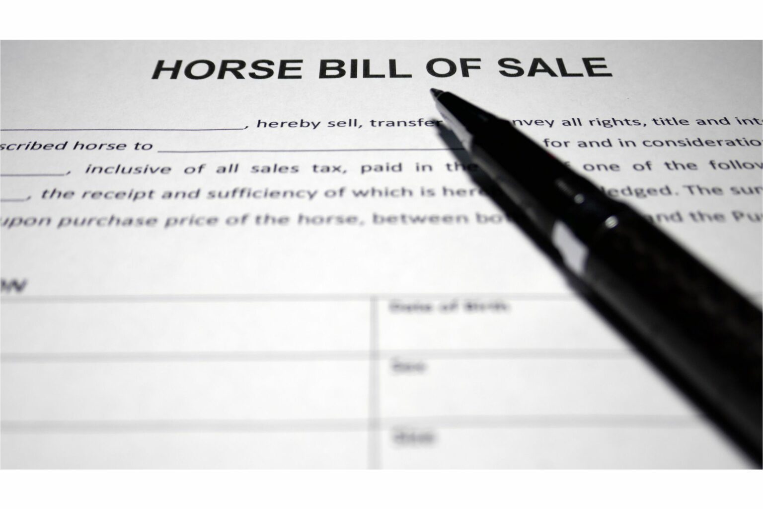 Paper Pushers How to Register a Horse With No Papers