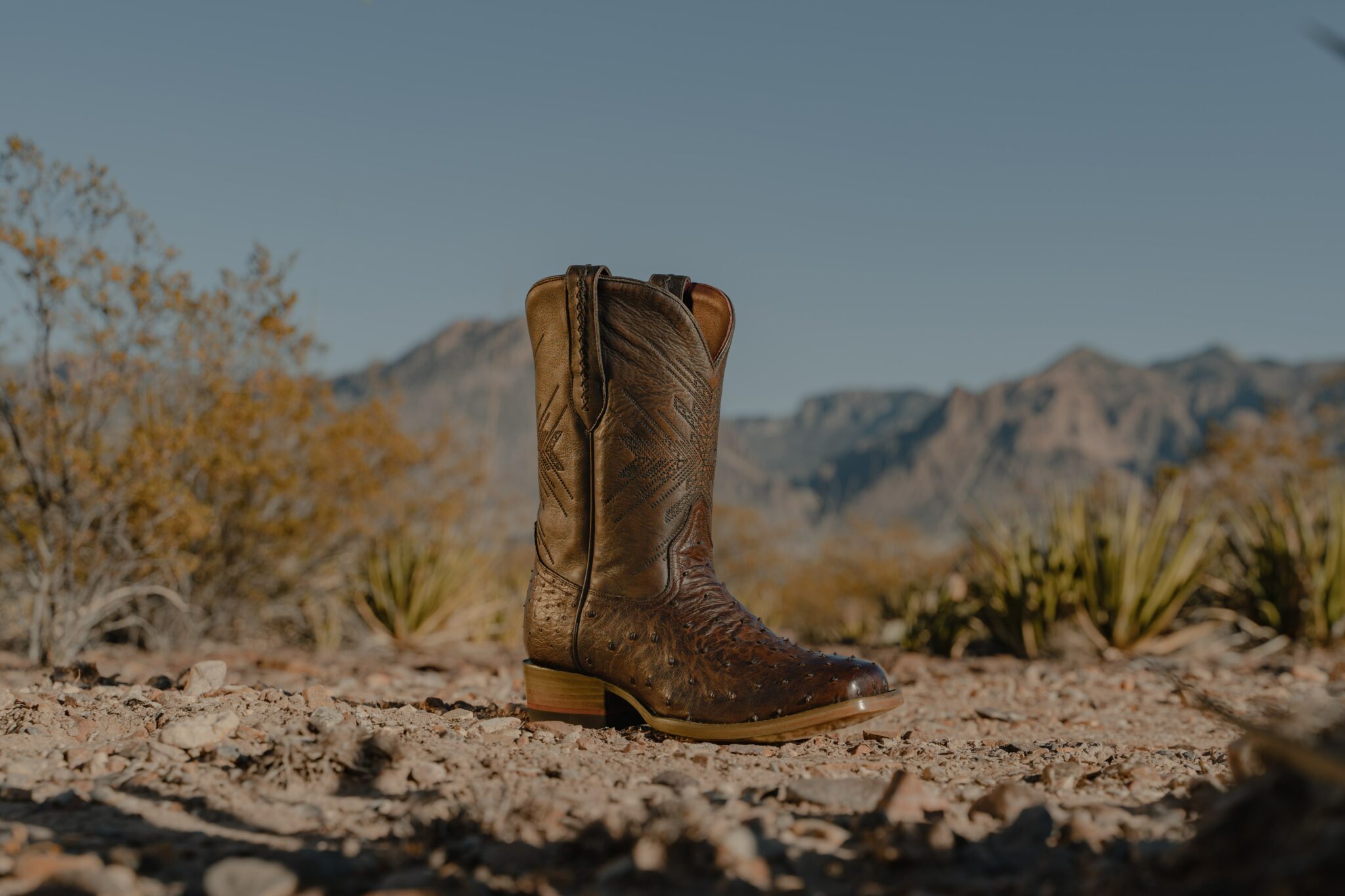 5 Most Comfortable Boots for Ostrich Leather Aficionados Horse Rookie