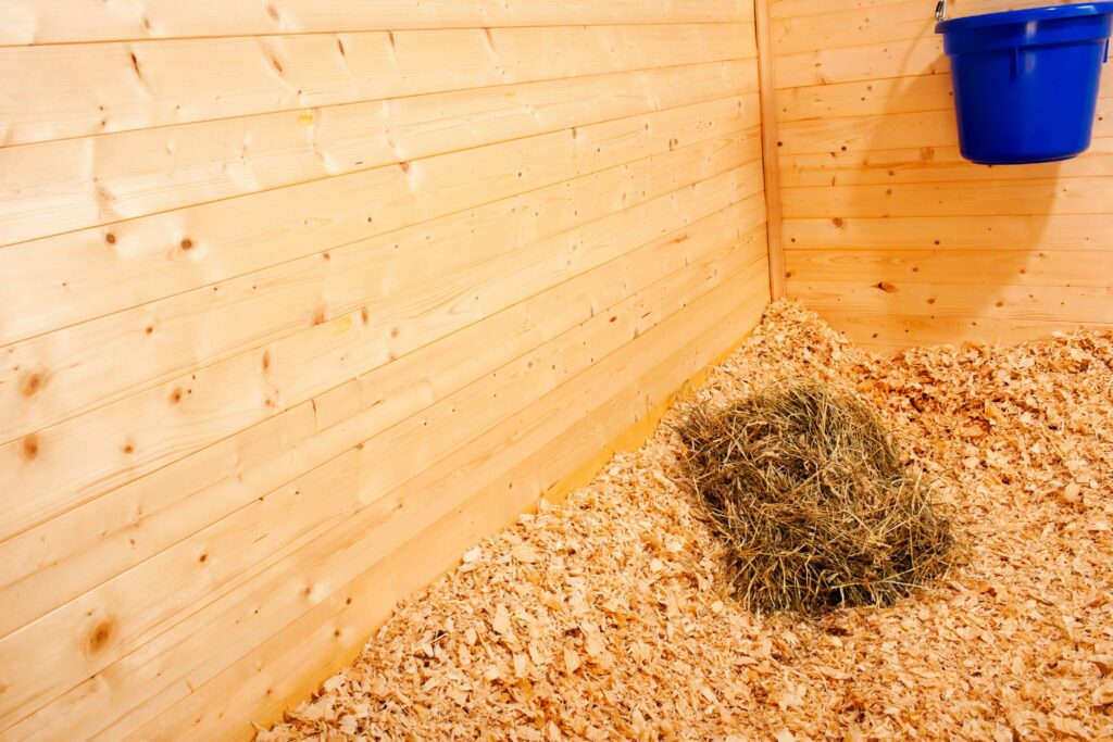 horse stall bedded down with shaving flakes