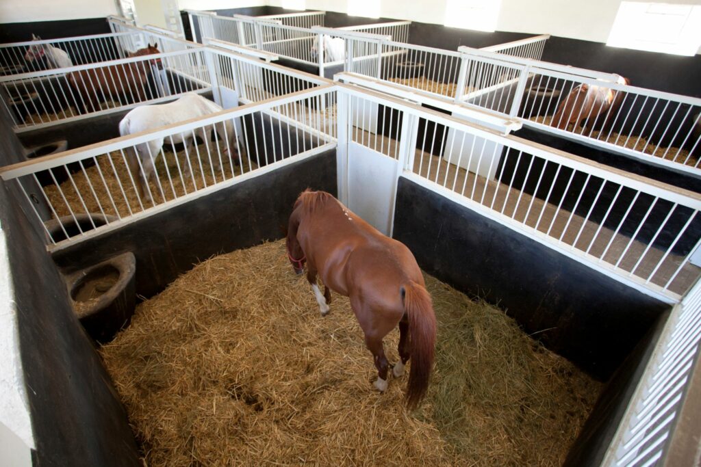 horse stalls bedded down with straw, aerial view