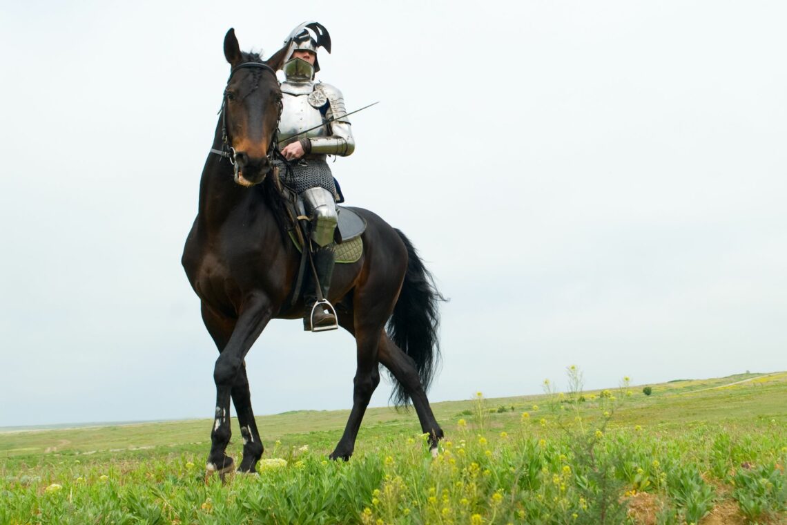 Jousting Giants What kind of horses did knights ride? Horse Rookie