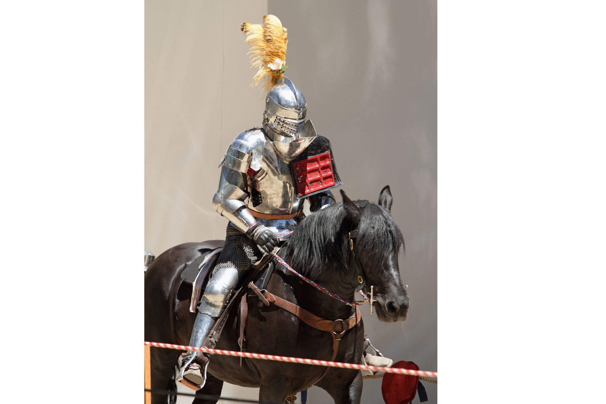 Jousting Giants What kind of horses did knights ride? Horse Rookie