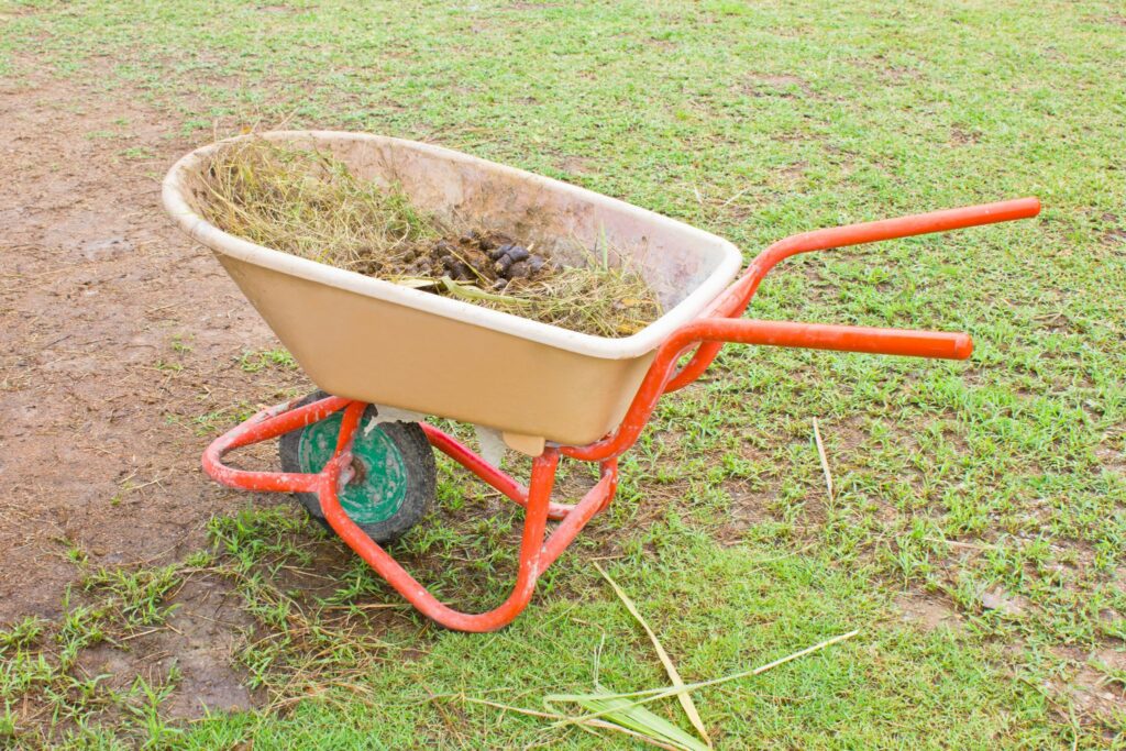 horse manure wheelbarrow