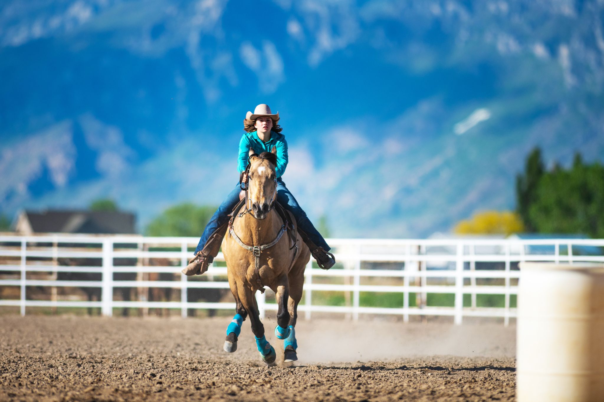 Running Qh Horses With Rider