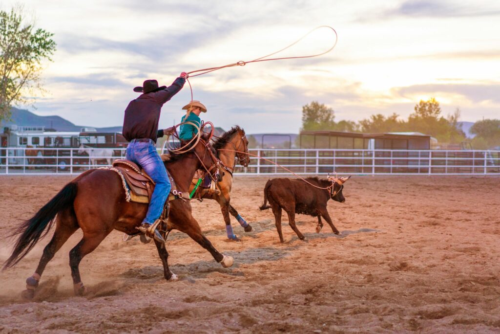 What is a Heel Horse? (Team Roping for Beginners) - Horse Rookie