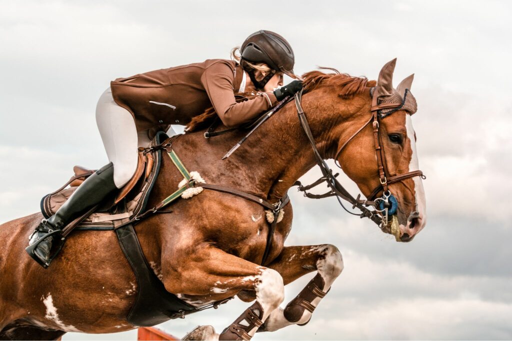 horse jumping photography