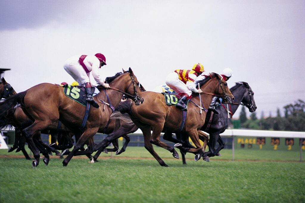 horse race photography