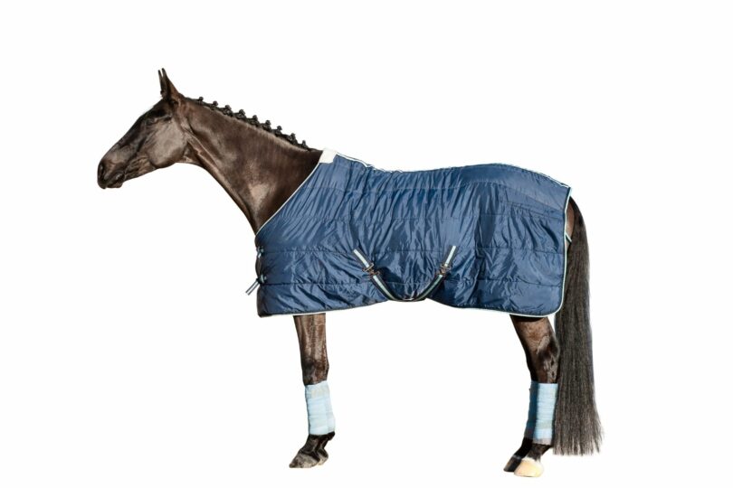 Horse blanket