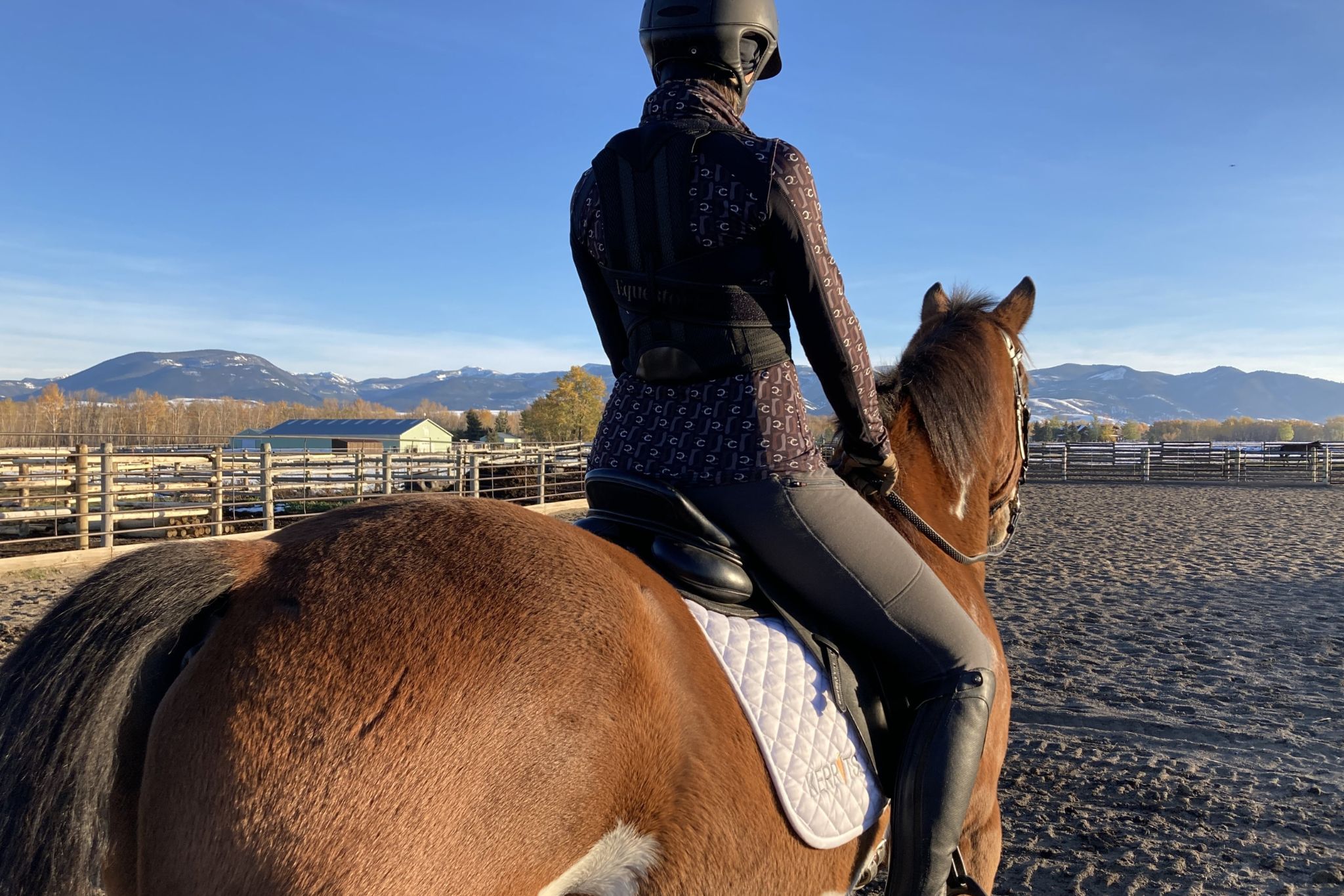 Sit Tall & Kick On (Equestorian Back Brace Rider Review) Horse Rookie