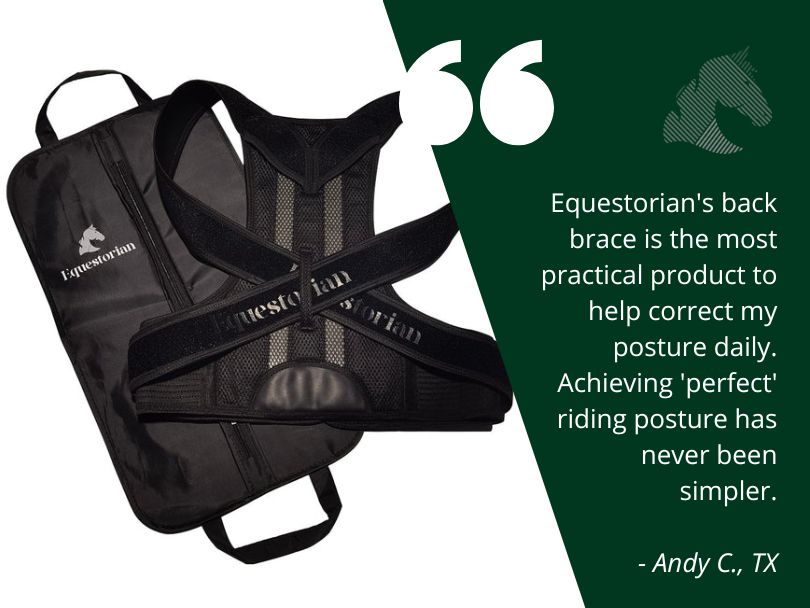 equestorian back brace review
