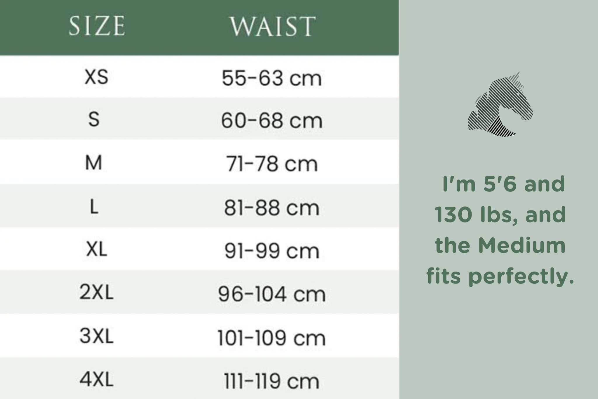 Sit Tall & Kick On (Equestorian Back Brace Rider Review) Horse Rookie