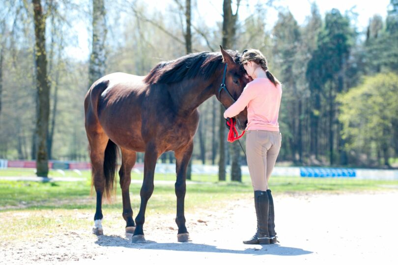 horse nudge