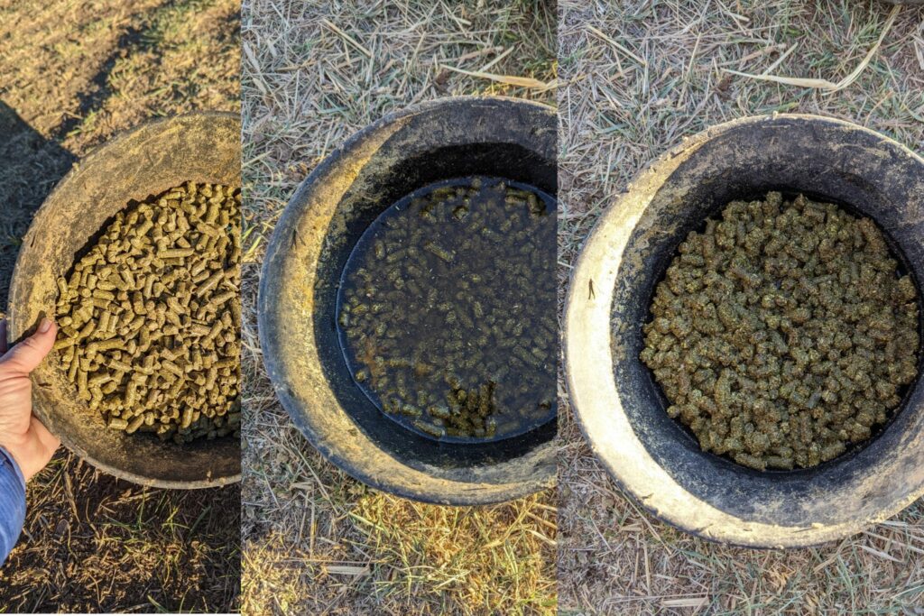 Alfalfa pellet progression