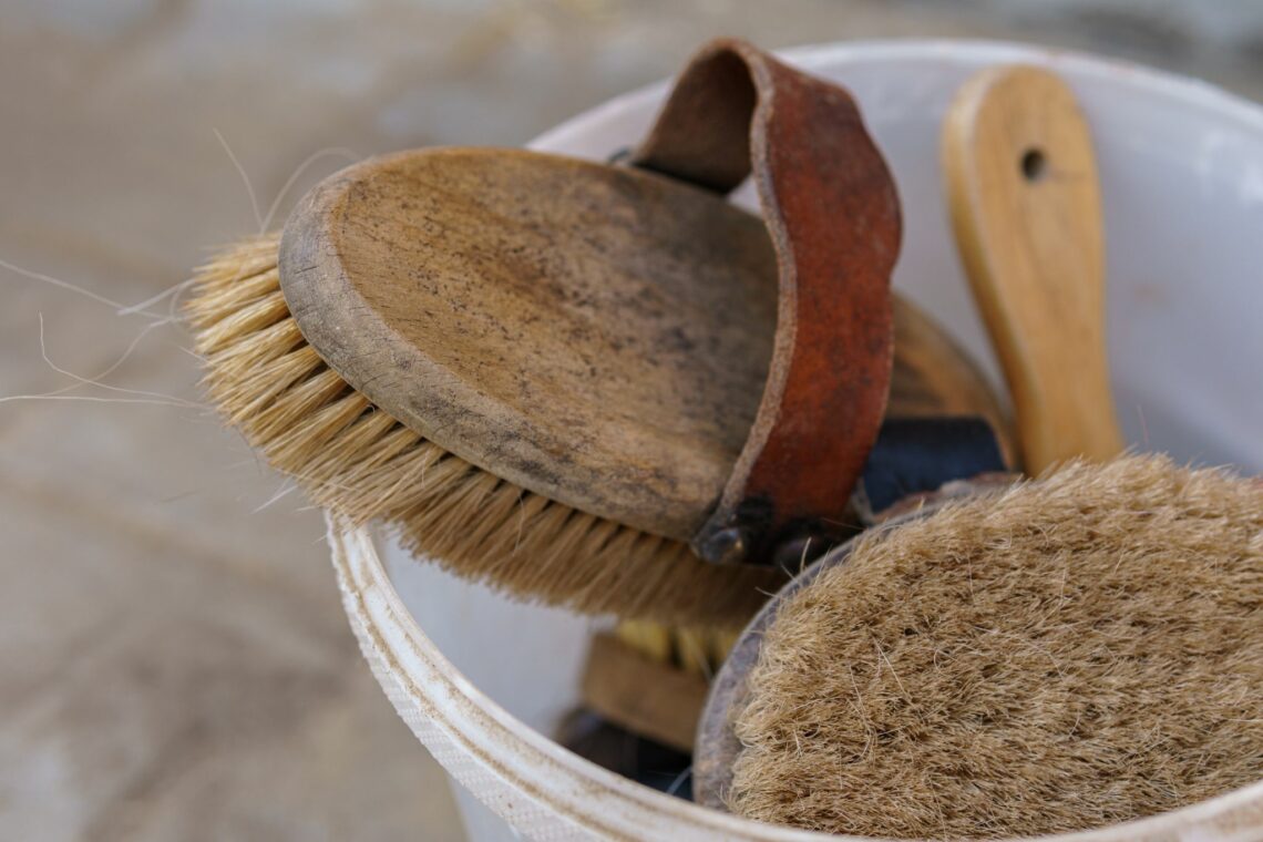 6 Best Horse Brush Brands for a Great Grooming Sesh Horse Rookie