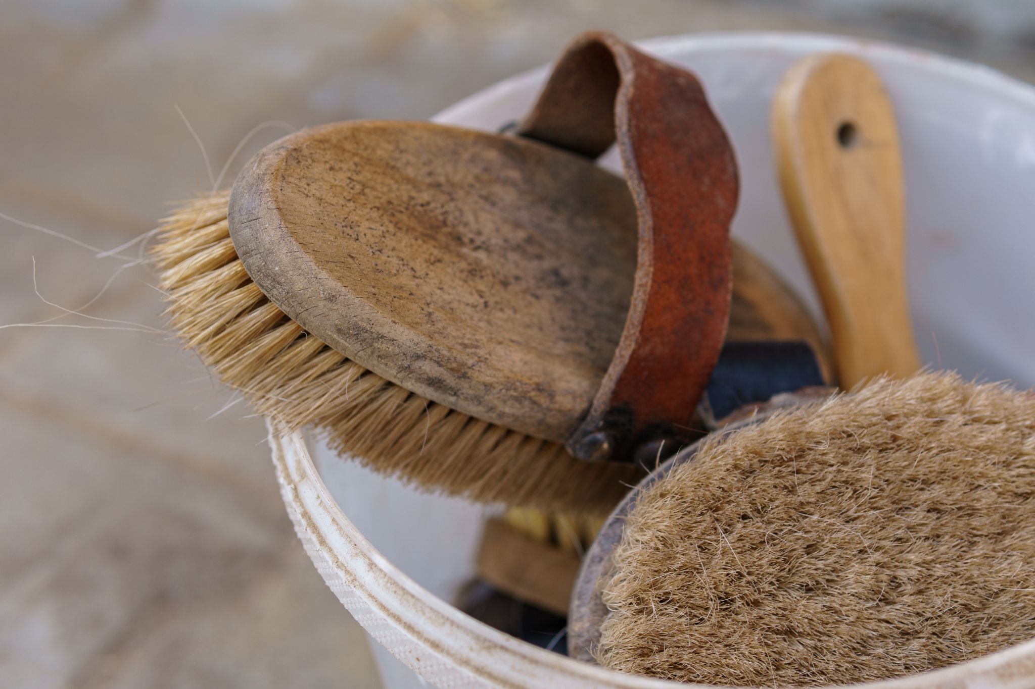 6 Best Horse Brush Brands for a Great Grooming Sesh Horse Rookie