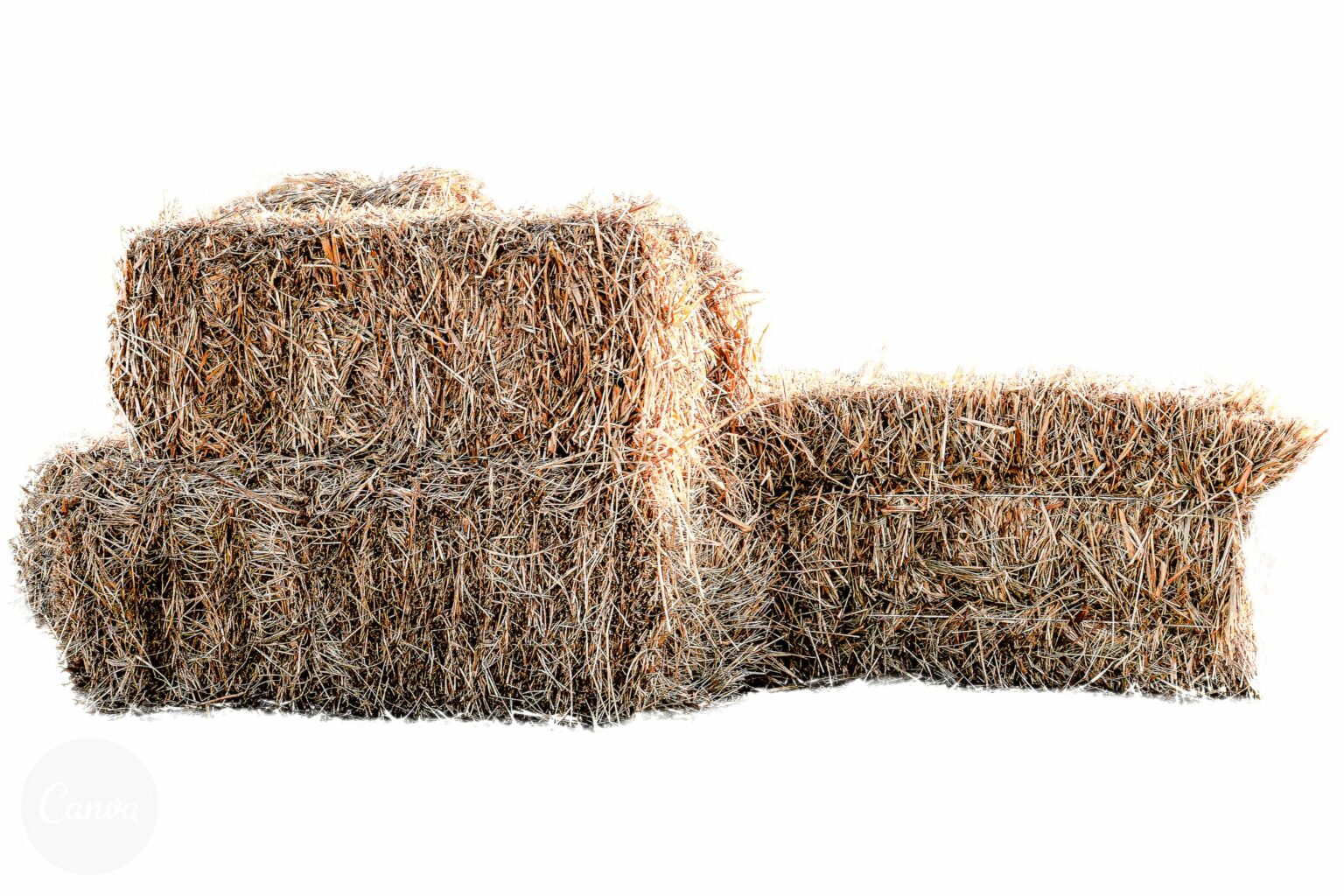 3 Types Of Horse Feed Every Owner Should Understand Horse Rookie 3-types-of-horse-feed-every-owner-should-understand-horse-rookie