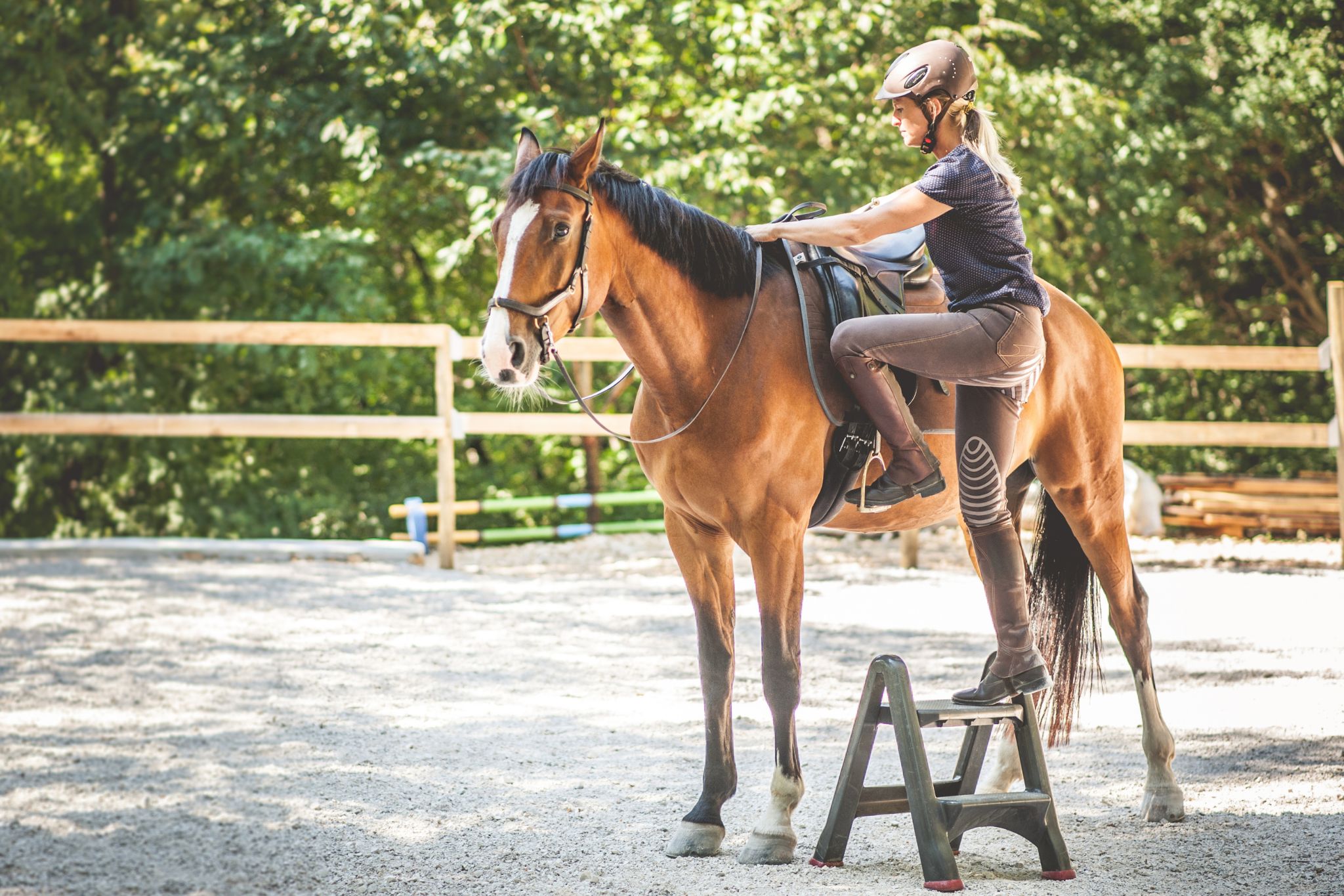 Fight the Fidget: Teach Your Horse to Stand Still - Horse Rookie