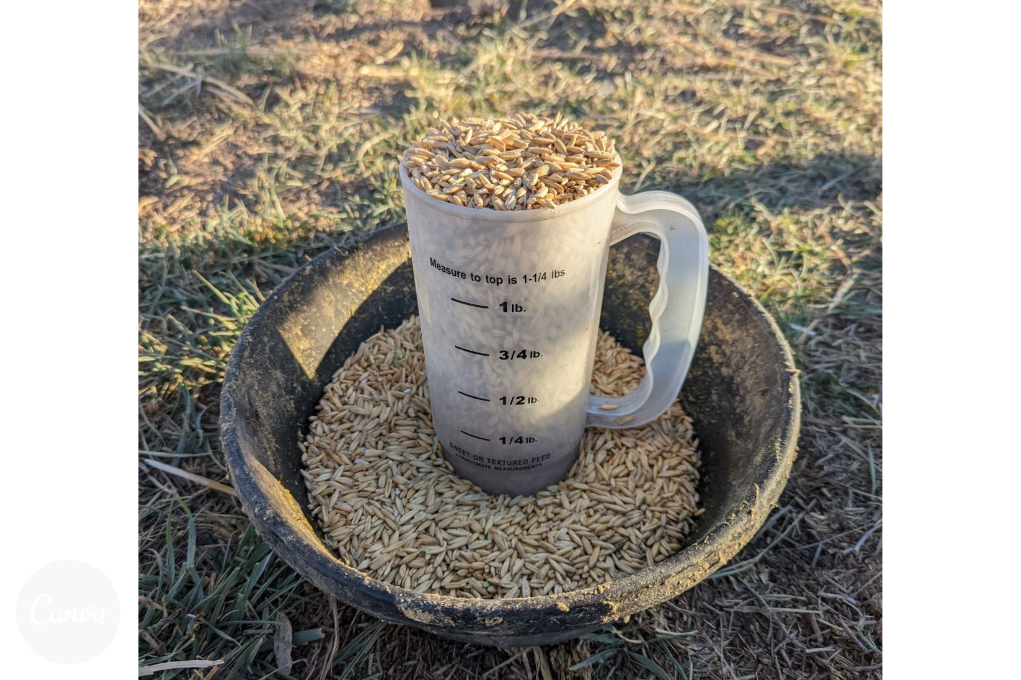 3 Types Of Horse Feed Every Owner Should Understand Horse Rookie 3-types-of-horse-feed-every-owner-should-understand-horse-rookie