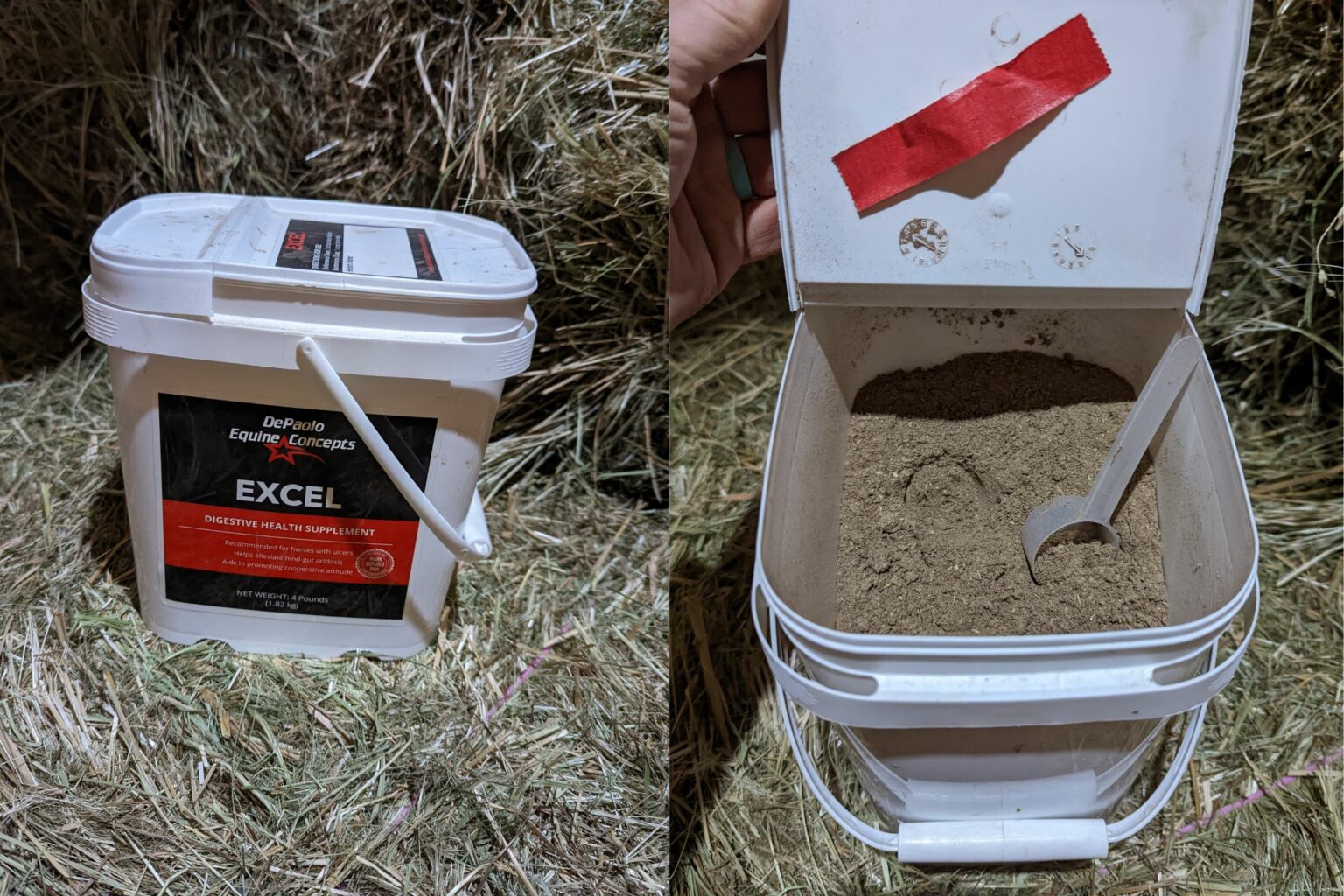 3 Types Of Horse Feed Every Owner Should Understand Horse Rookie