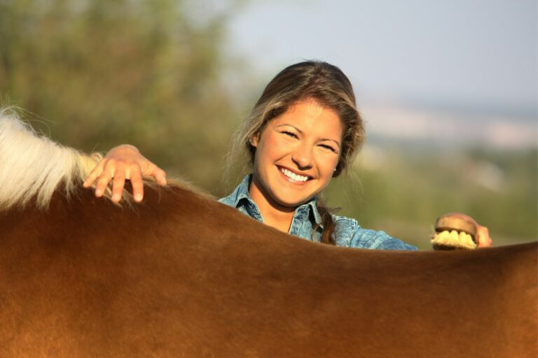6 Best Horse Brush Brands for a Great Grooming Sesh