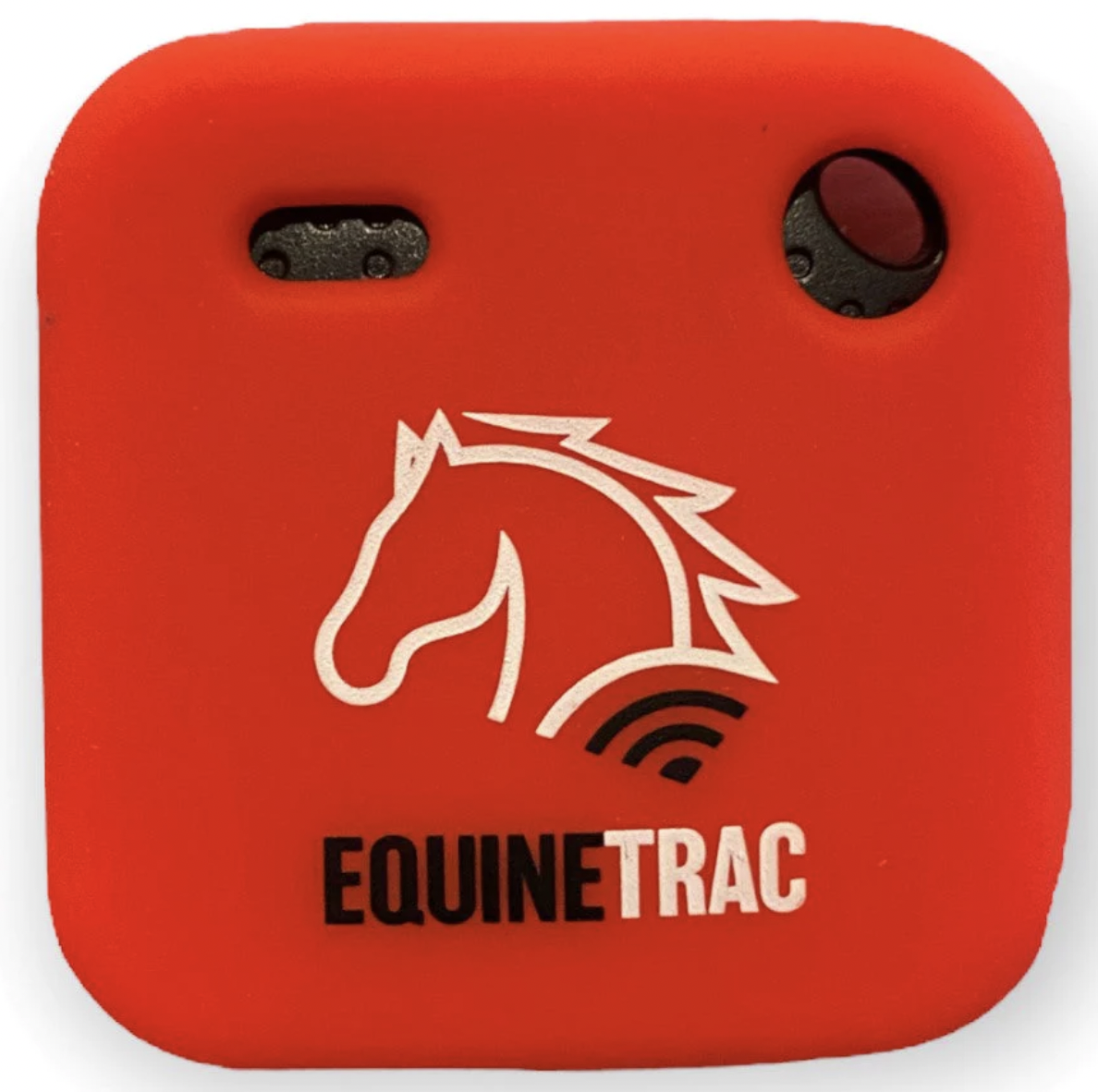 11 HighTech Equine Wearables to Revolutionize Your Ride Horse Rookie