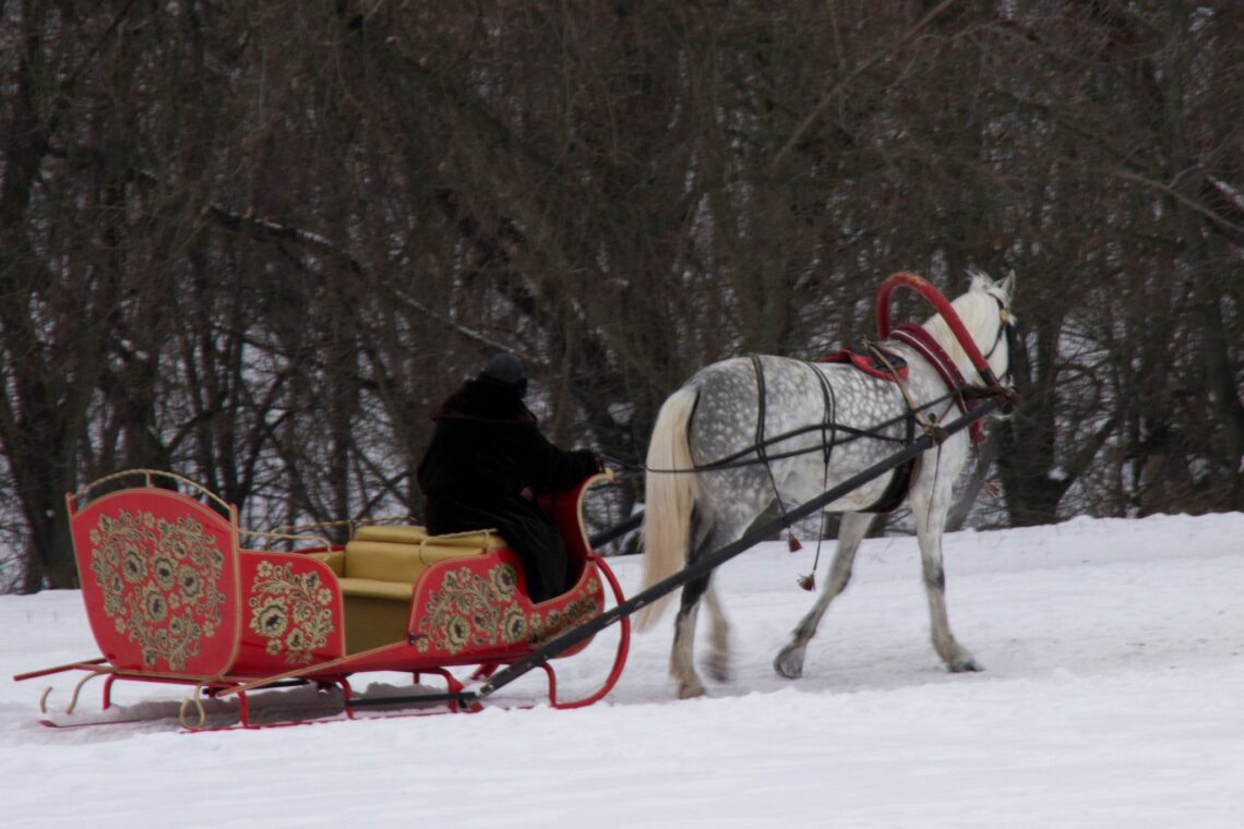 Winter Wonderland What to Wear on a Horse Sleigh Ride