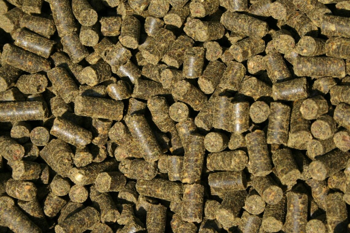 Alfalfa Cubes vs. Pellets What's Best for Your Horse?