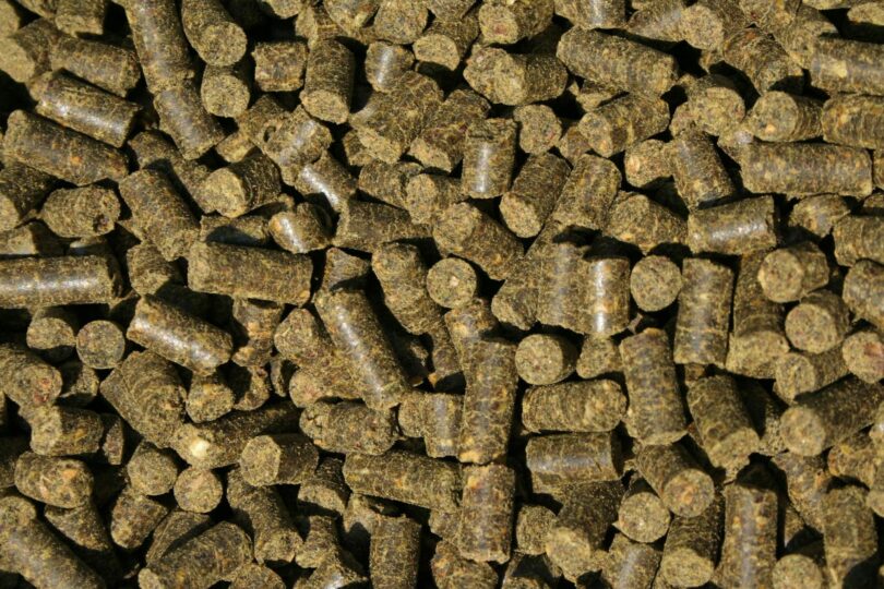 horse alfalfa pellets