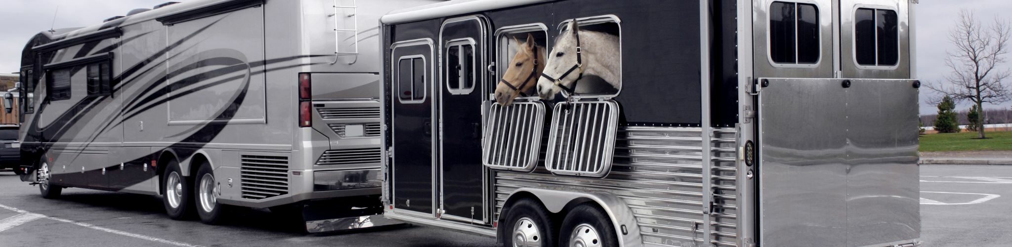 bumper pull horse trailer