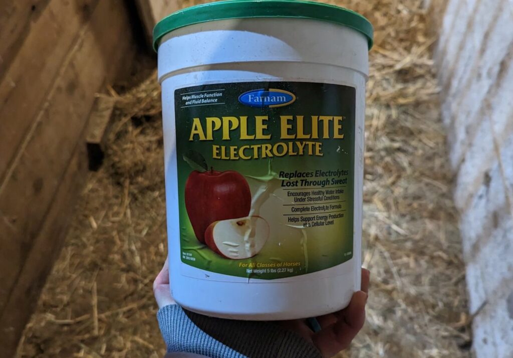 11 Best Electrolytes for Horses That Need to Hydrate