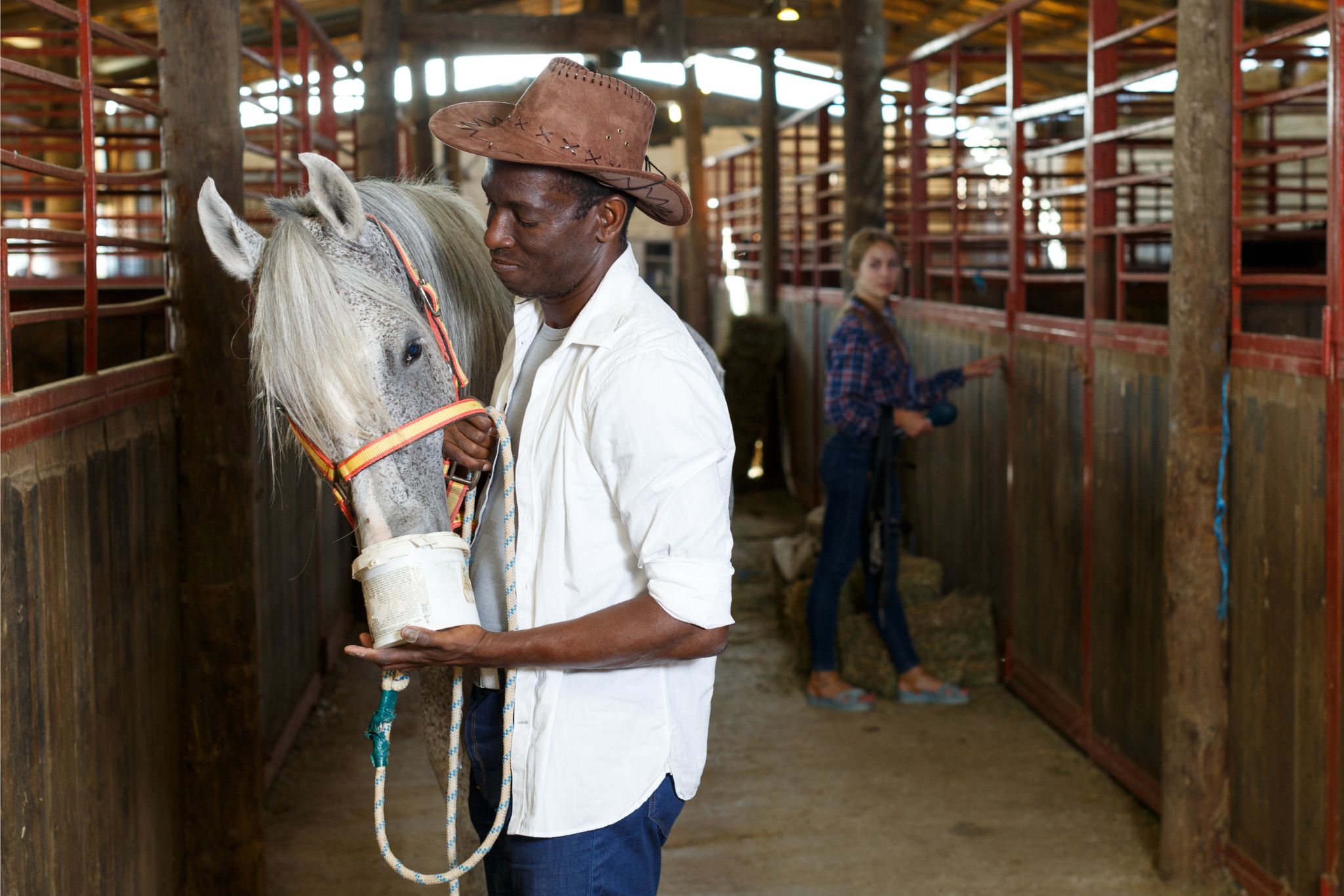 How to Put Weight on a Horse Fast (and Safely) Horse Rookie
