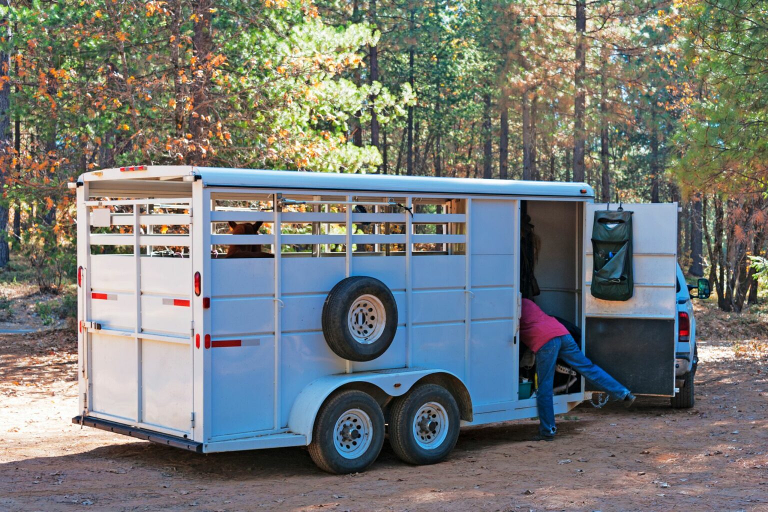 9 Best Horse Trailer Brands That Really Pull Their Weight Horse Rookie