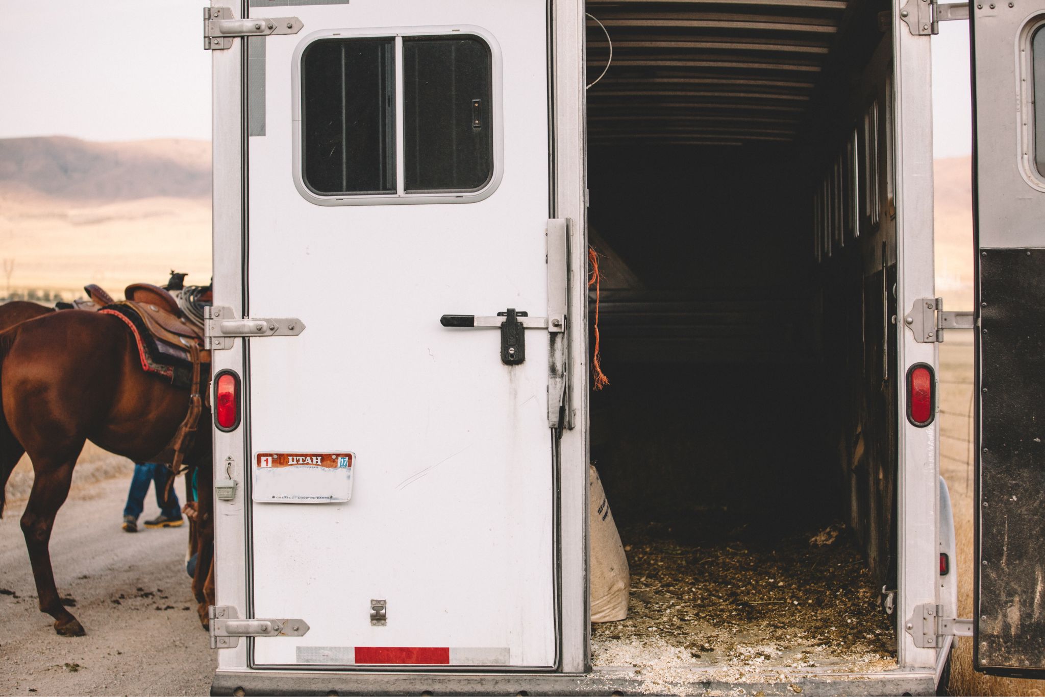 5 Best Horse Trailers with Living Quarters Fit for a Queen Horse Rookie