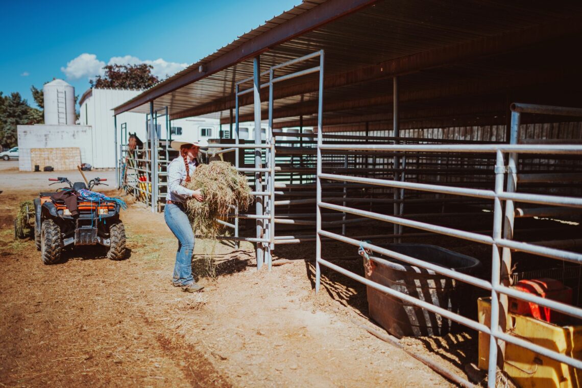 stable-sense-horse-barn-terminology-for-rookies