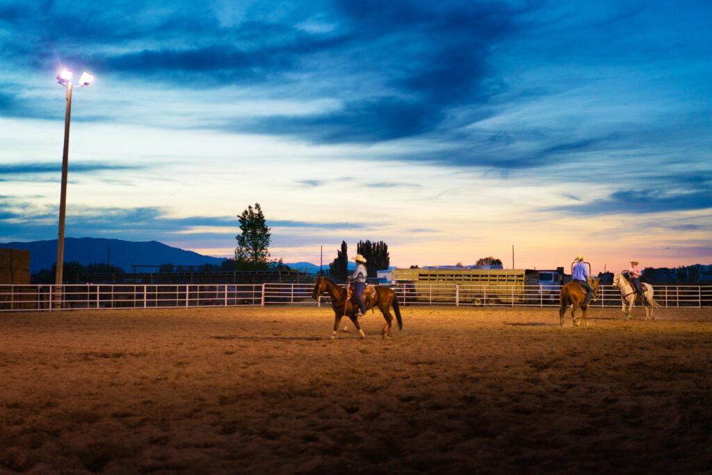horse and rider in outdoor arena at sunset