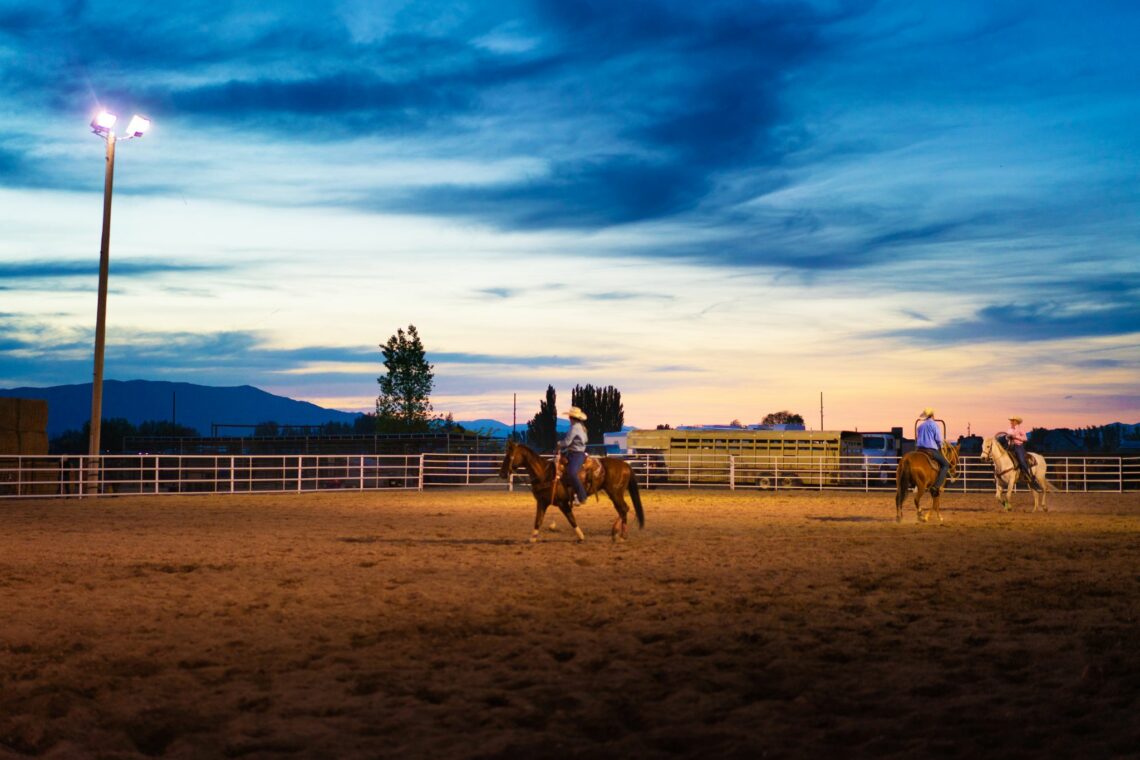 stable-sense-horse-barn-terminology-for-rookies-horse-rookie