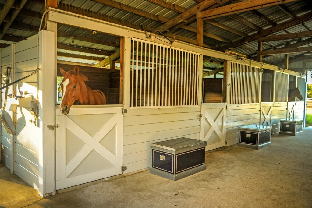 horses in stall with tack boxes