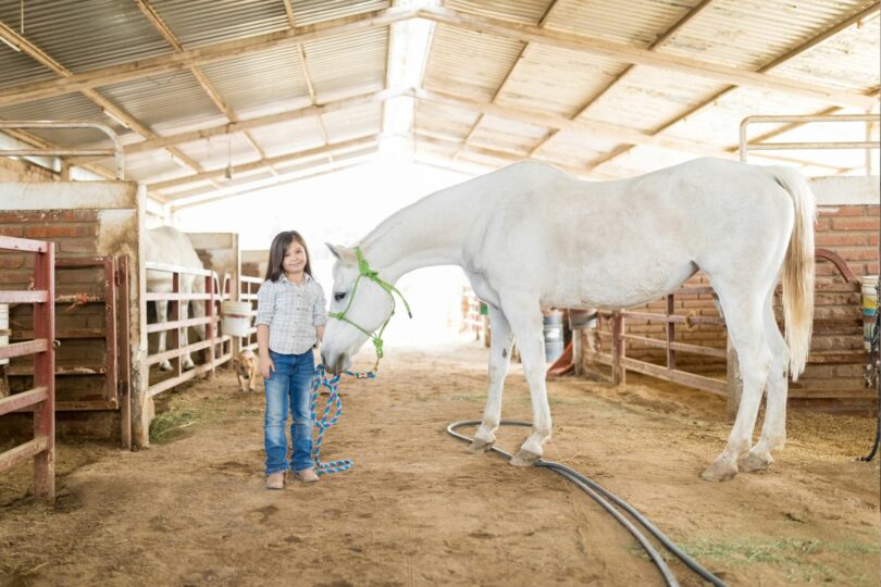 girl with gray horse in barn