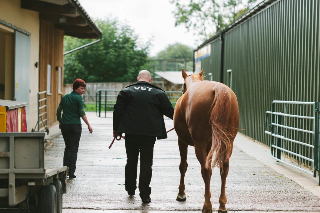 vet walking with horse