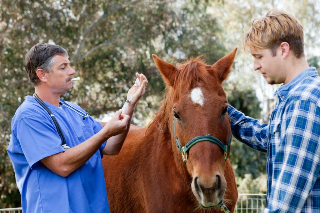vet drawing injection horse and owner