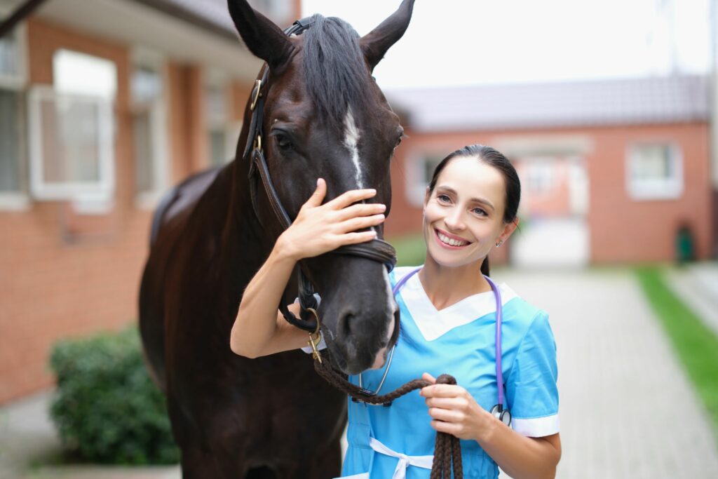 dark brown horse with vet