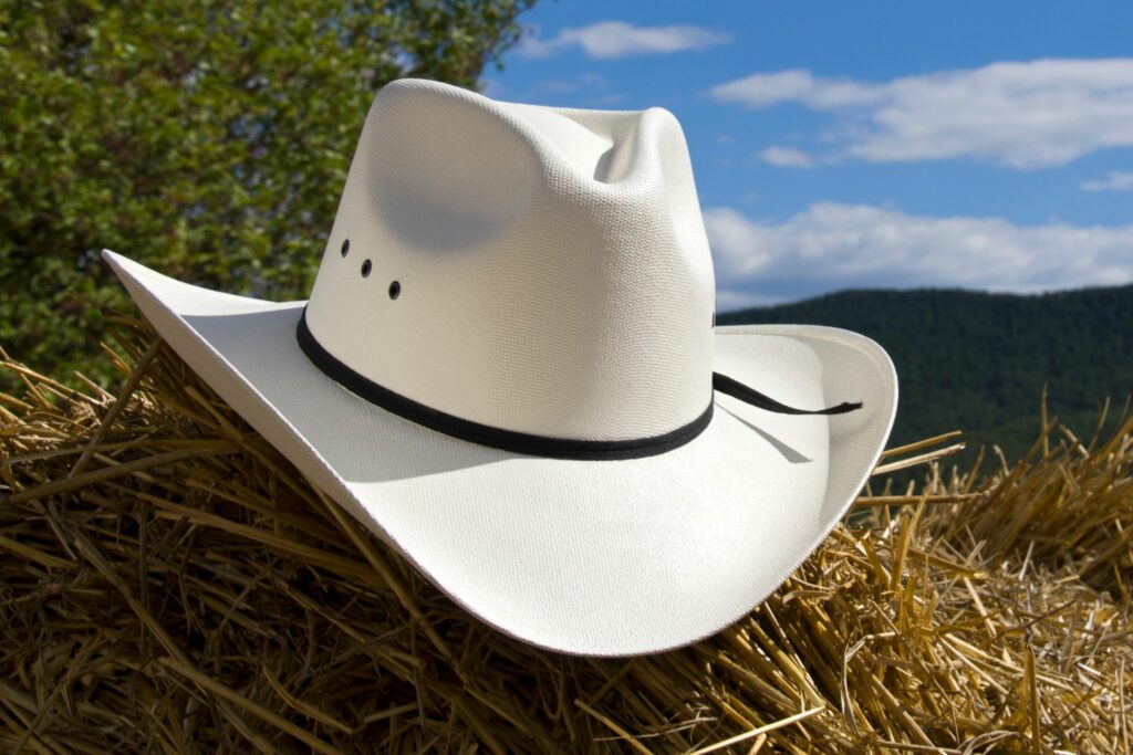 rancher cowboy hat brim style