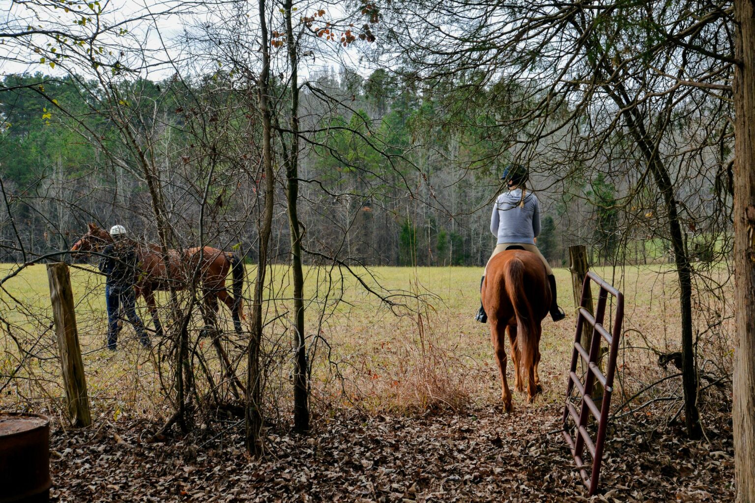 GPS for Rookies Tracking Miles on Horseback