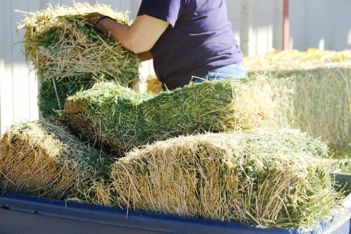 Hay Bale Facts and Figures (Sizes, Types, Costs)