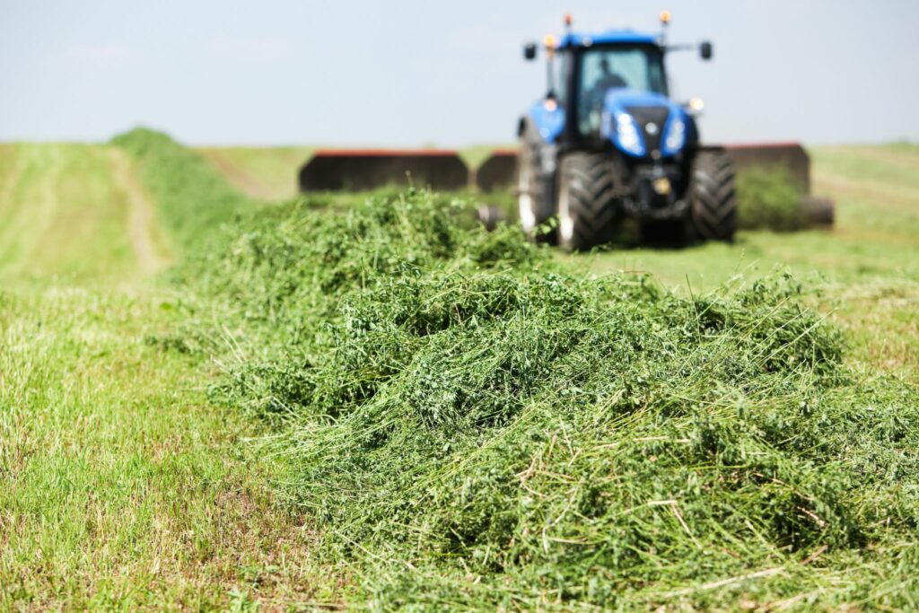 alfalfa hay in field with tractor in background