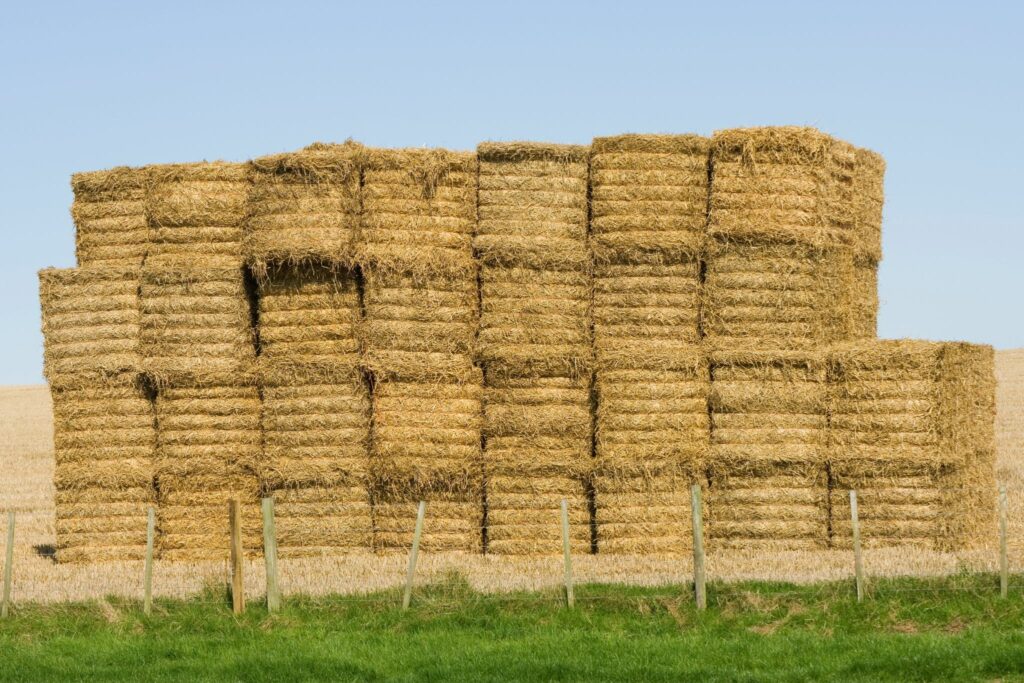 large square hay bales