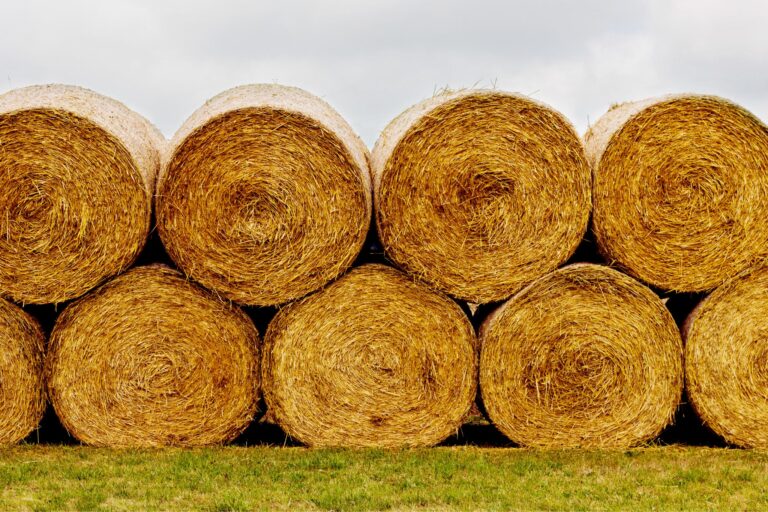 Hay Bale Facts and Figures (Sizes, Types, Costs)