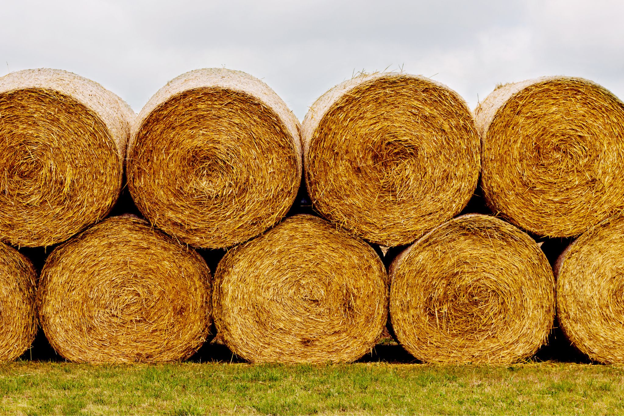 Hay Bale Facts and Figures (Sizes, Types, Costs)