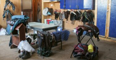 saddles in horse tack room