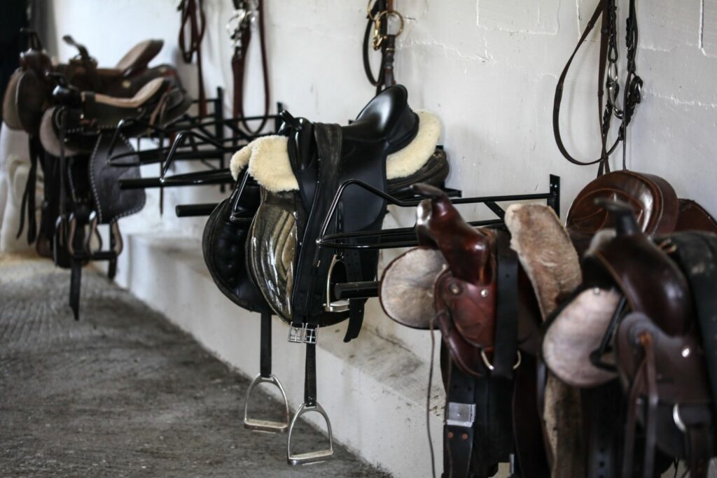 saddles on metal racks in tack room